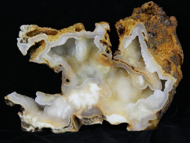 Agatized Fossil Coral With Druzy Quartz - Florida #30703